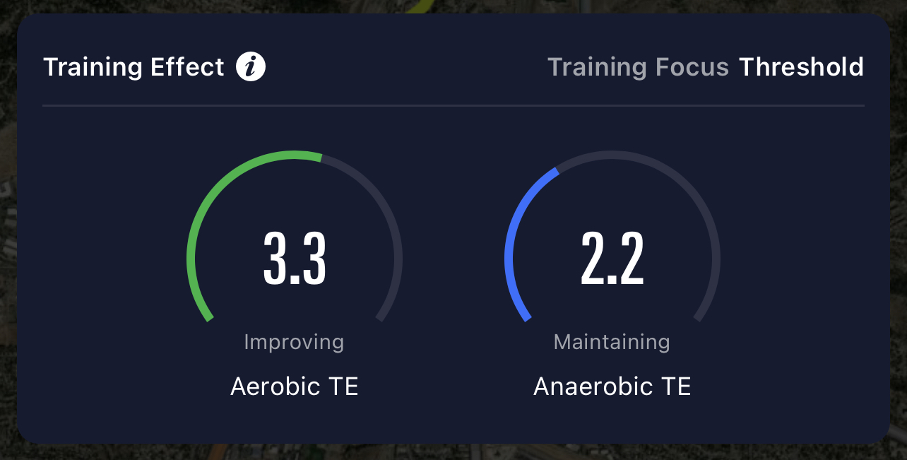 Training_Effect_Training_Focus.jpg