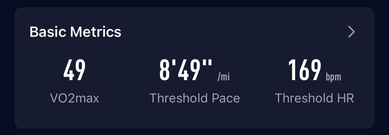 13.jpeg