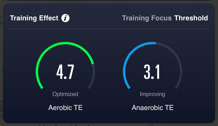 trainingeffect.jpg