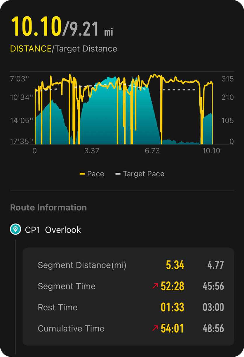 App UI - pace strategy summary.png