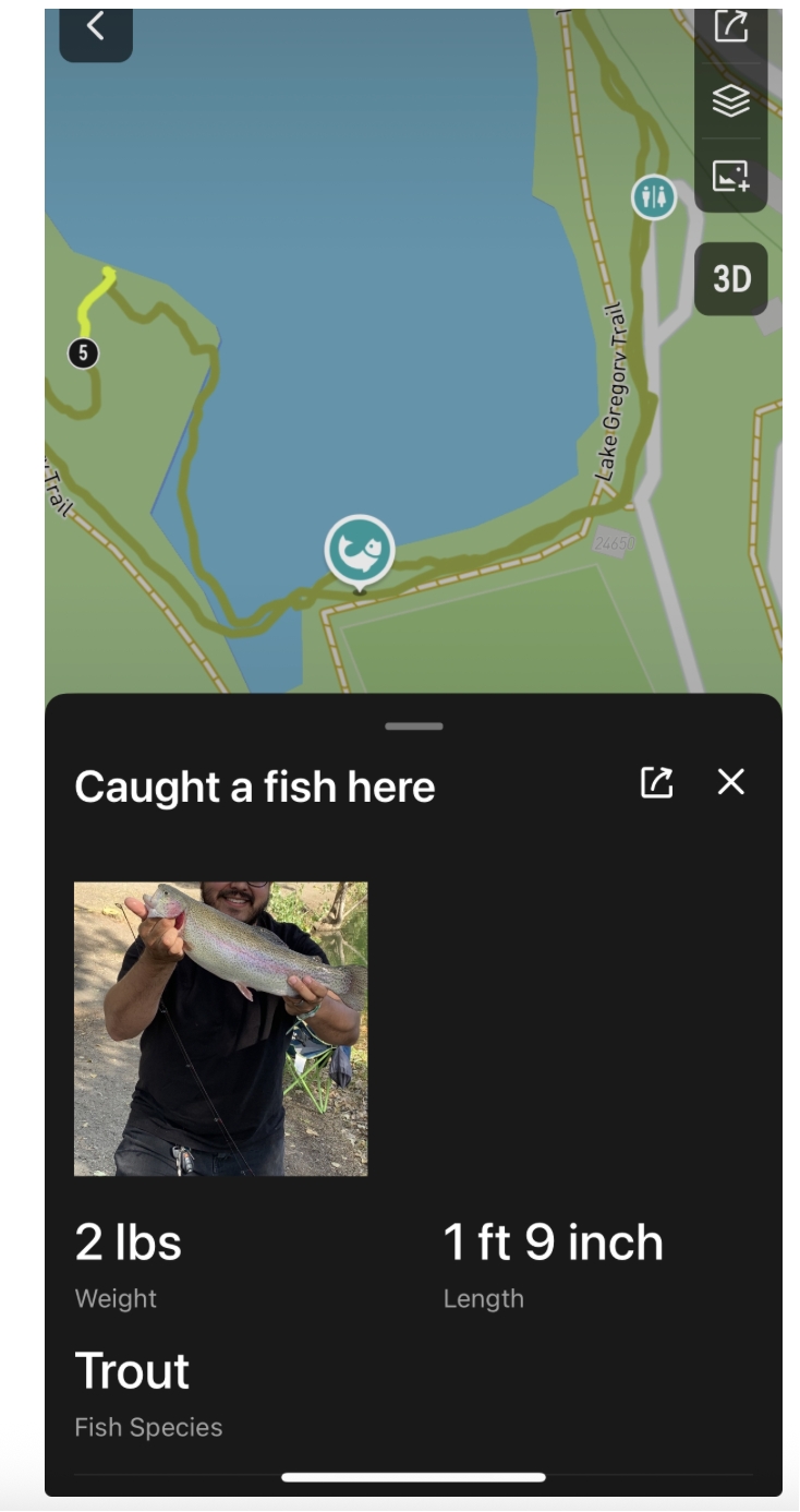 fishphoto.jpeg