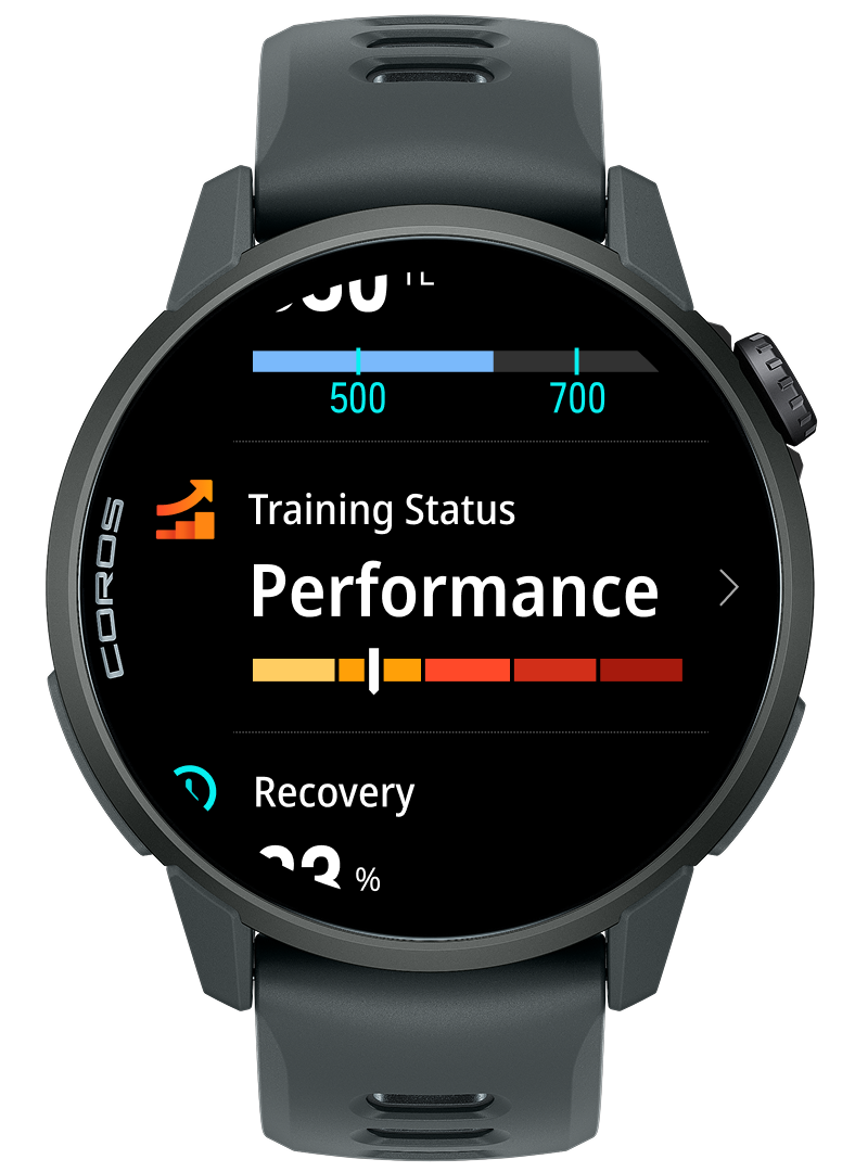 Training Status widget.png